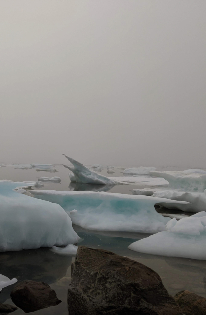 blocs de glace